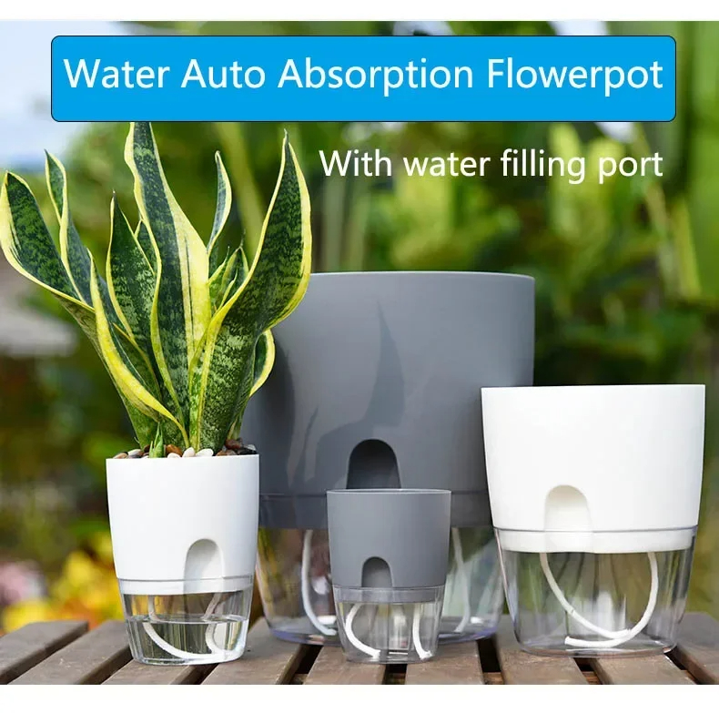 Transparent Double Layer Plast - Aloe Vera Pot 评论和价格