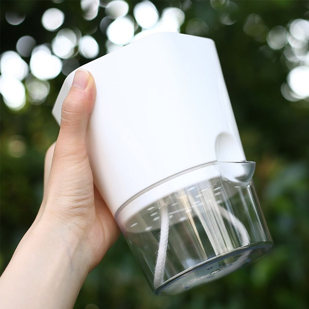 Transparent Double Layer Plast - Aloe Vera Pot 评论和价格
