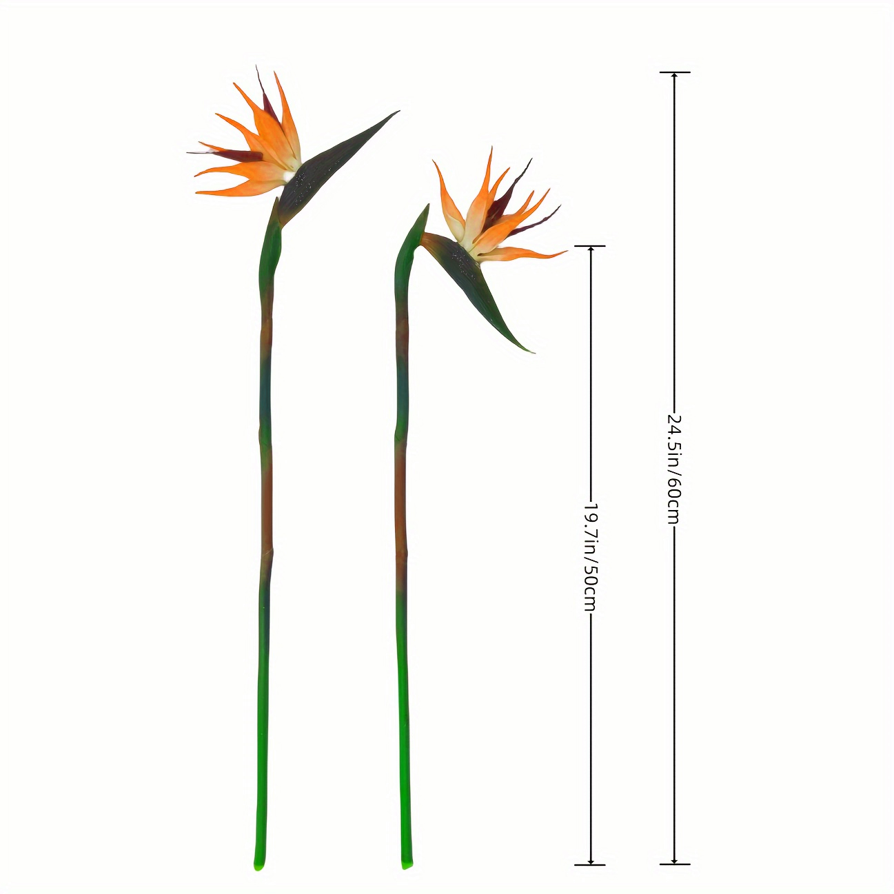 3pcs Artificial Bird Of Paradi - Bird Paradise Strelitzia 评论和价格